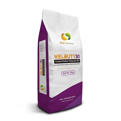 Как бутират натрия действует как мощная альтернатива антибиотикам-стимулятора...